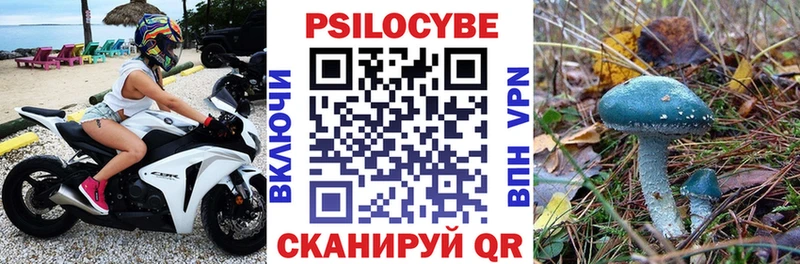 где купить наркоту  Ленинск-Кузнецкий  Псилоцибиновые грибы Psilocybe 