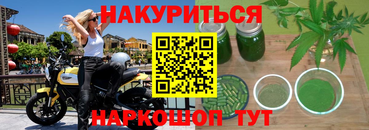 Марихуана гибрид Ленинск-Кузнецкий